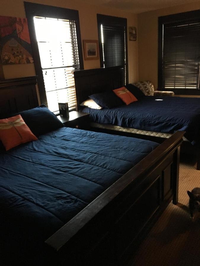 Hotel Cazan Mamou Dış mekan fotoğraf